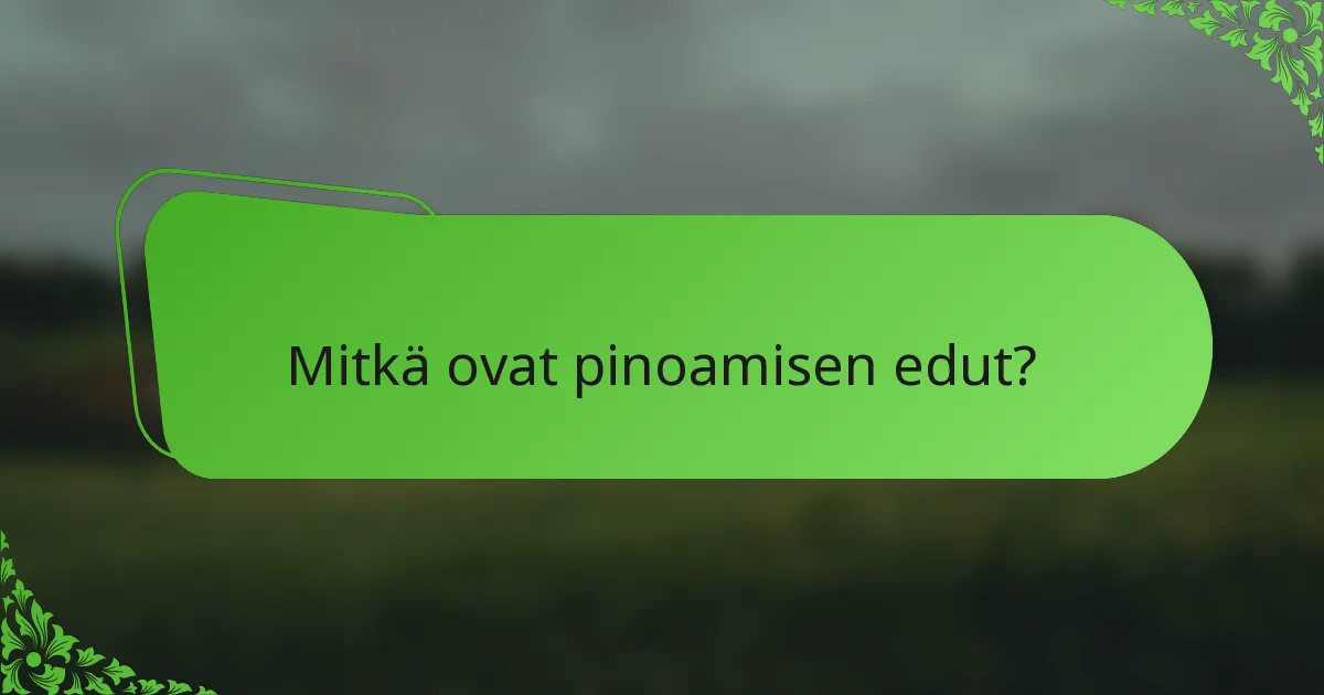 Mitkä ovat pinoamisen edut?